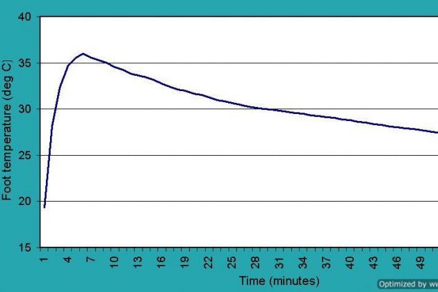 Foot Temperature Graph